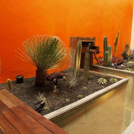 Coyoacan - Inn Mexico City Luaran gambar