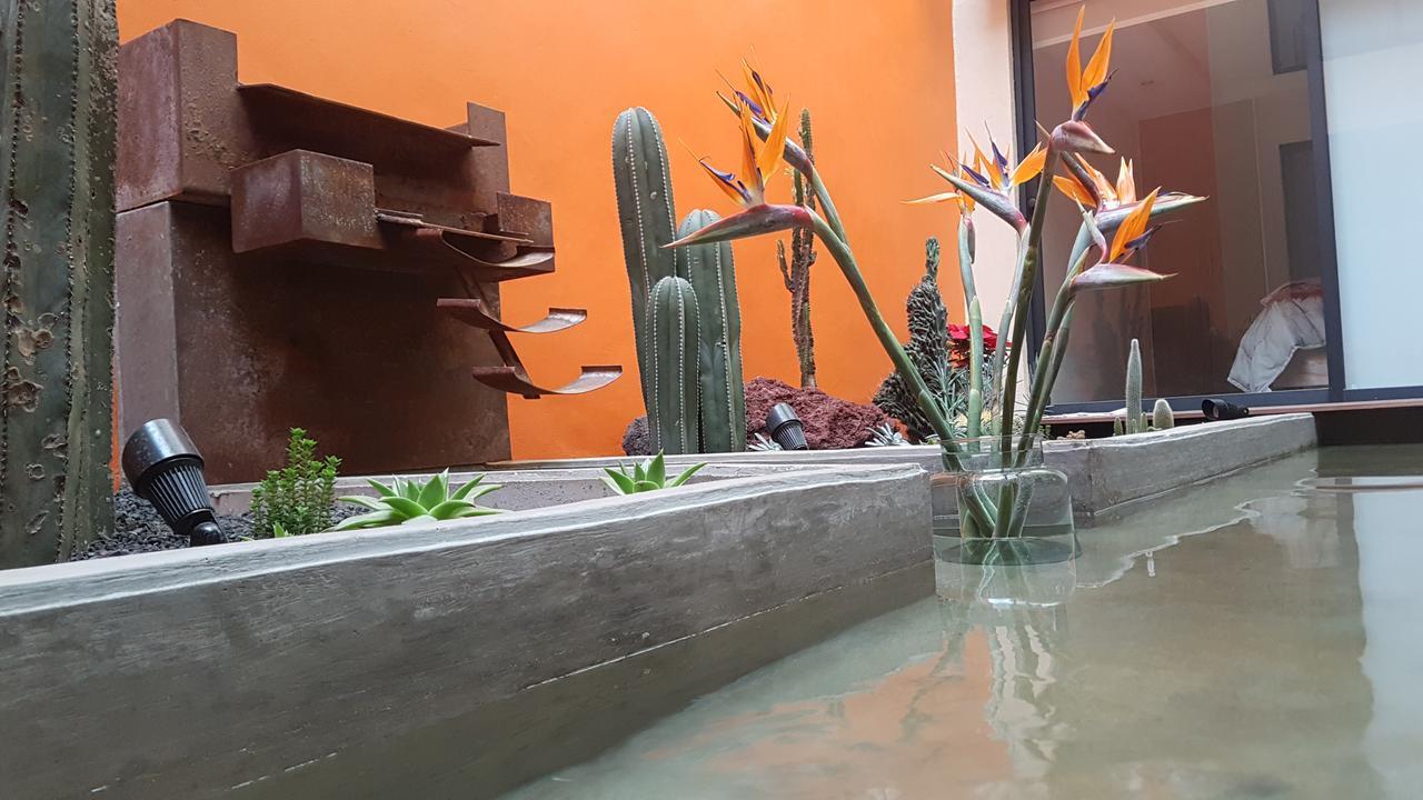 Coyoacan - Inn Mexico City Luaran gambar