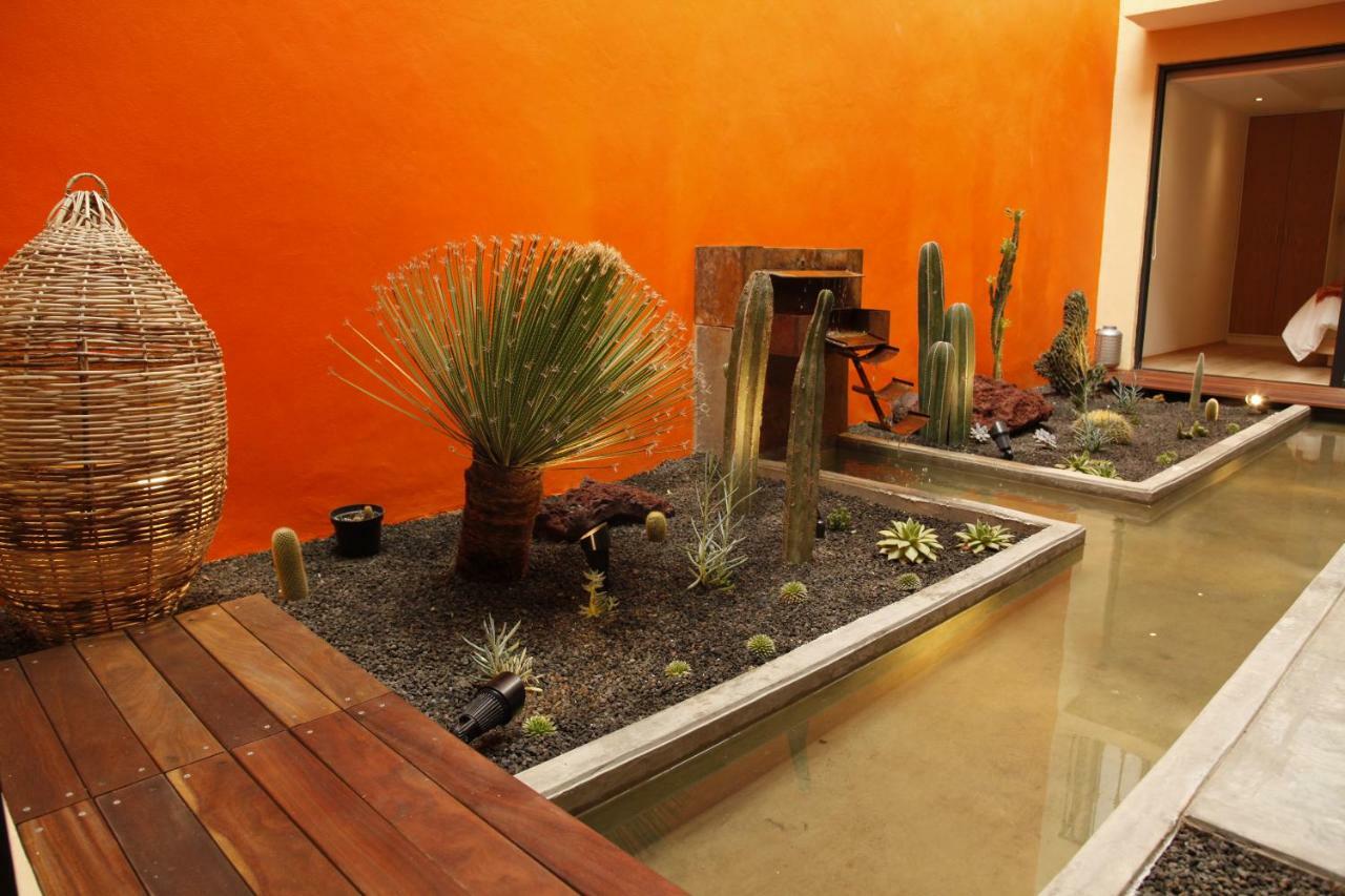 Coyoacan - Inn Mexico City Luaran gambar